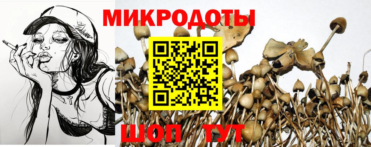 Галлюциногенные грибы Psilocybe Лосино-Петровский